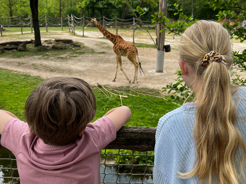 Lara en Duuk kijken naar de giraf in Zoo Planckendael