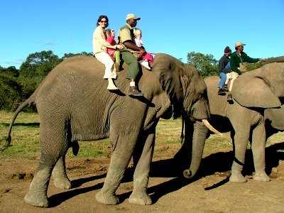 Ellen met kids op een olifant in Zuid-Afrika Ellen met kids op een olifant in Zuid-Afrika