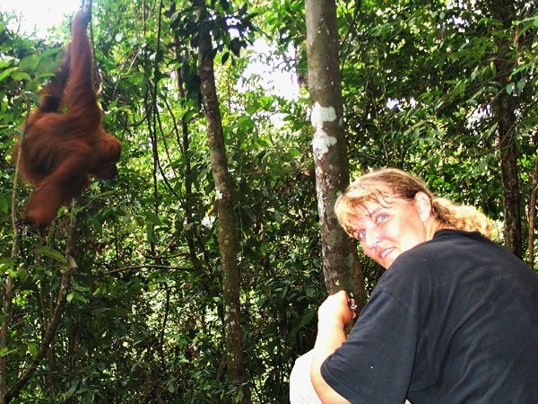 Een bijzondere ontmoeting met een Orang Oetang in het wild