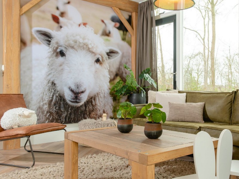 Een kinderbungalow op babyvriendelijk vakantiepark Mölke in Twente