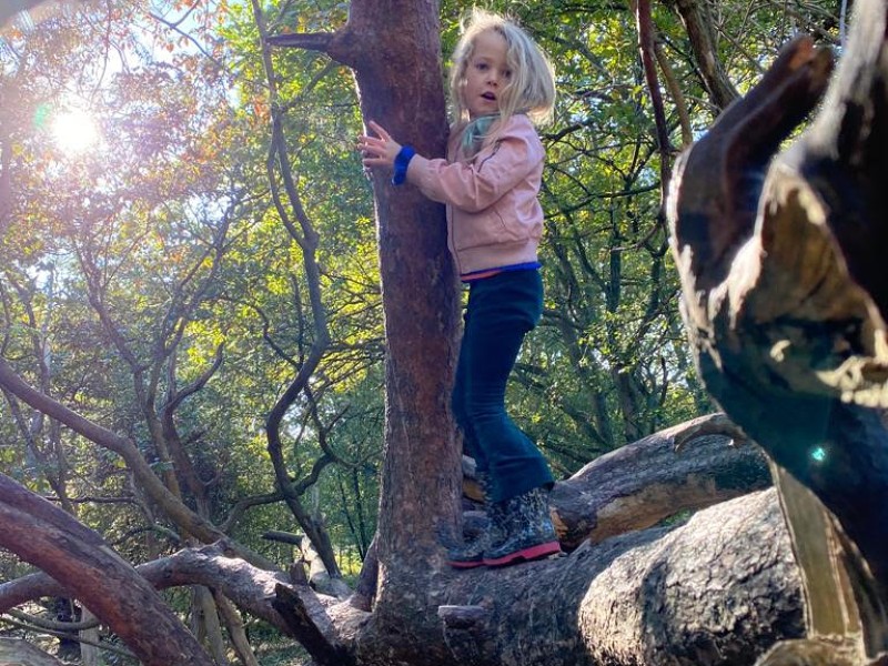 De dochter van Elisabeth heeft, net zoals de kinderen van Alma, plezier in het Monkeybos in Wassenaar