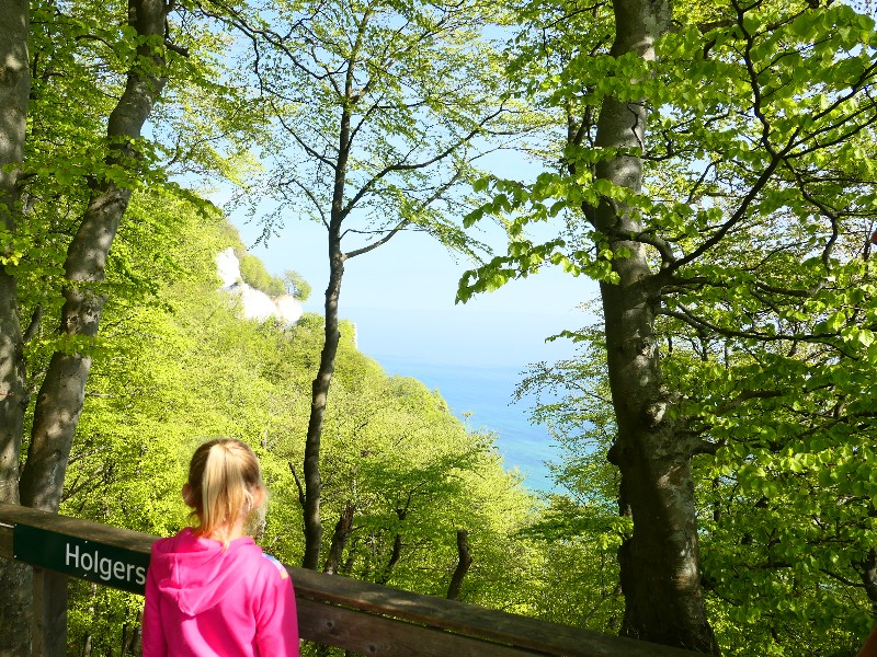 Alsof je op een tropisch eiland bent