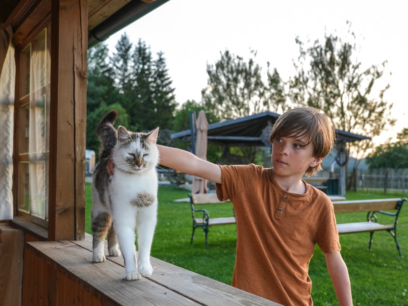 Gezellige kat op de vakantieboerderij Moser Alm in het Oostenrijkse Mühlviertel