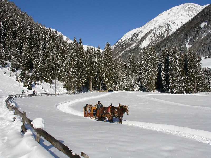 met de arreslee door winterwonderland