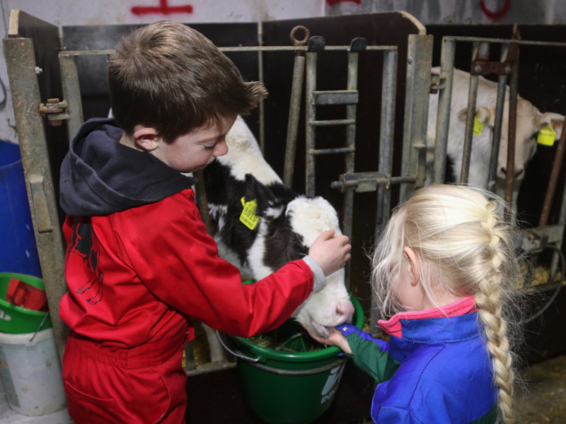 Wat een schattige Kalfjes op de Mudlerhof