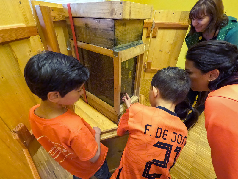 In het natuurmuseum in Murau