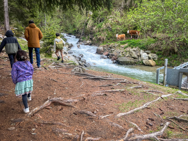 Wandelen naar de waterval in Murau