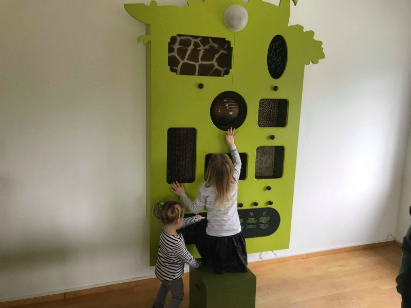 Museumlokaal natuurhistorisch museum