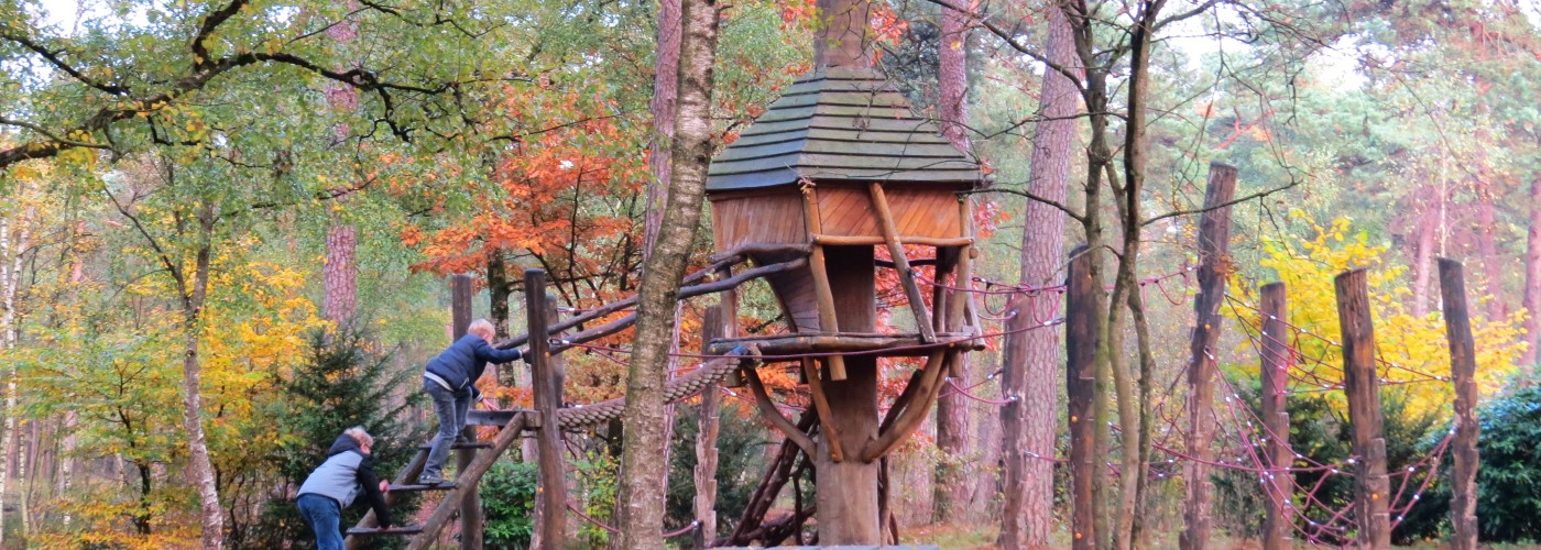 Zeb en Tycho lekker aan het klimmen tijdens een wandeling op de Veluwe.