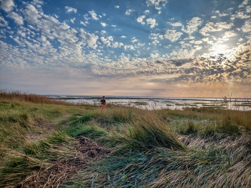 Nationaalpark Waddenzee