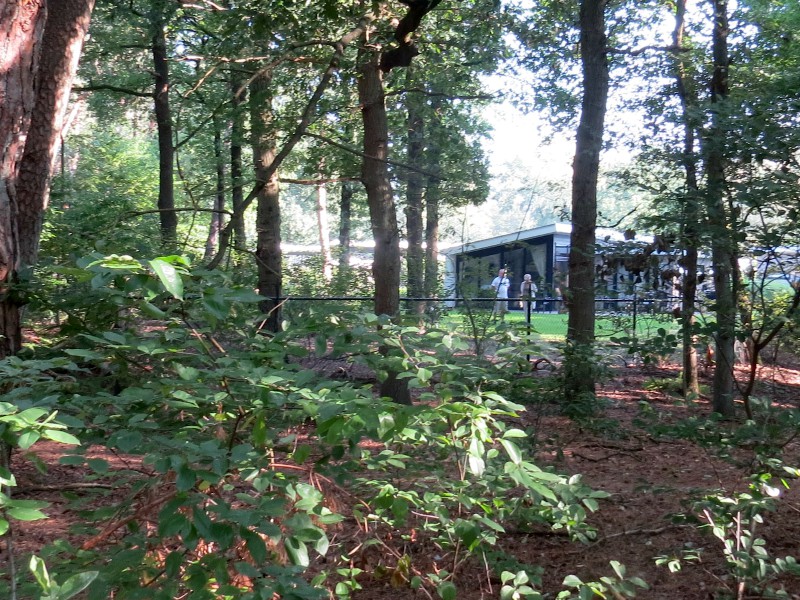 Vakantiepark Berkenrhode ligt tegen de bossen aan