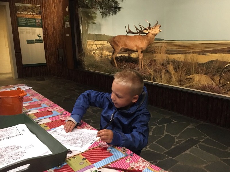 Er zijn ook leuke kleurplaten bij natuurmuseum Holterberg