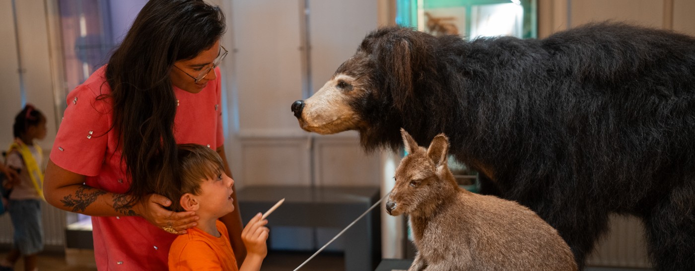 Natuurhistorisch Museum