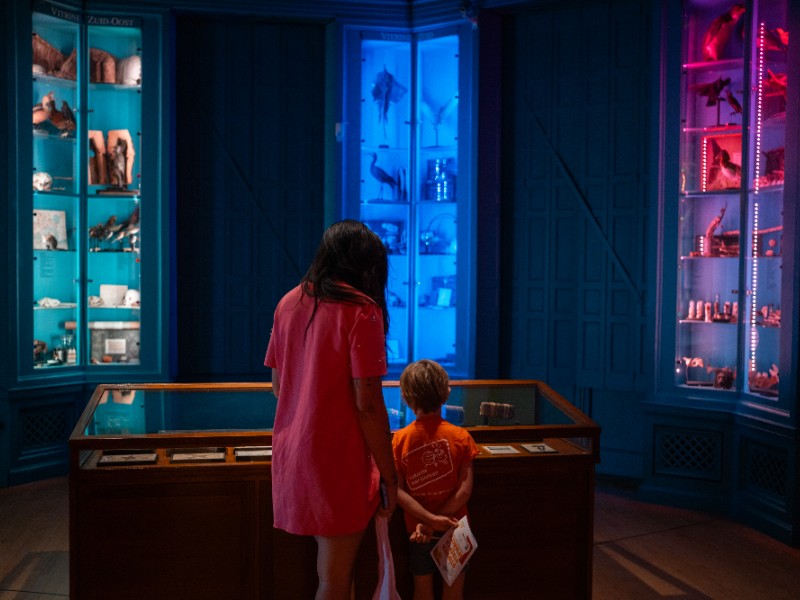 Er zijn allemaal verschillende kamers in het Natuurhistorisch Museum Er zijn allemaal verschillende kamers in het Natuurhistorisch Museum