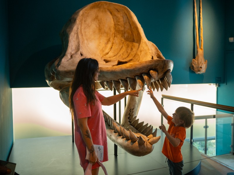 Even voelen hoe scherp de tanden zijn in het Natuurhistorisch Museum