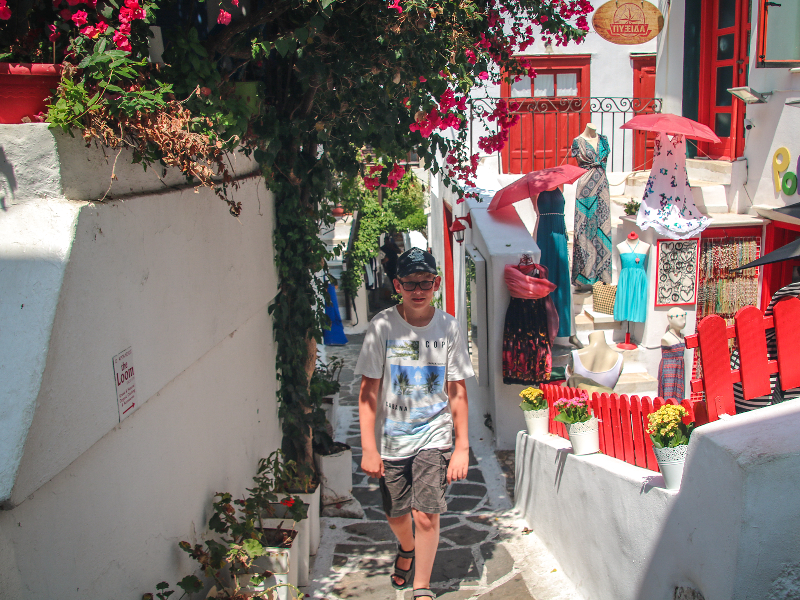 Zeb in een straatje in Chora, op Naxos