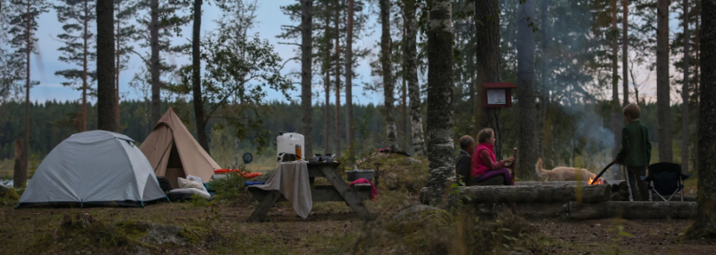 Wildkamperen in Zweden