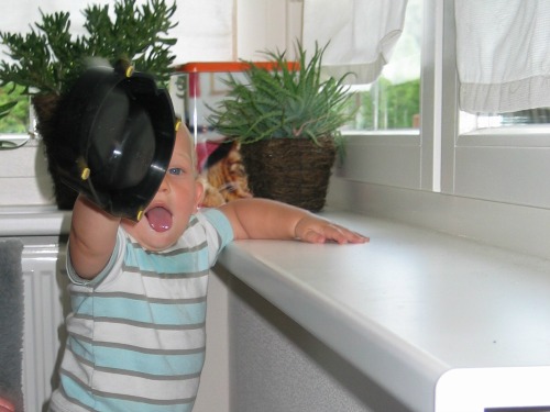 Niets was veilig voor onze baby Tycho