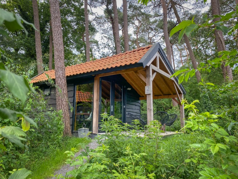 Een mooi Tiny House in het bos voor 4 personen bij de Norgerberg. Ideaal voor een gezinsvakantie in de natuur!