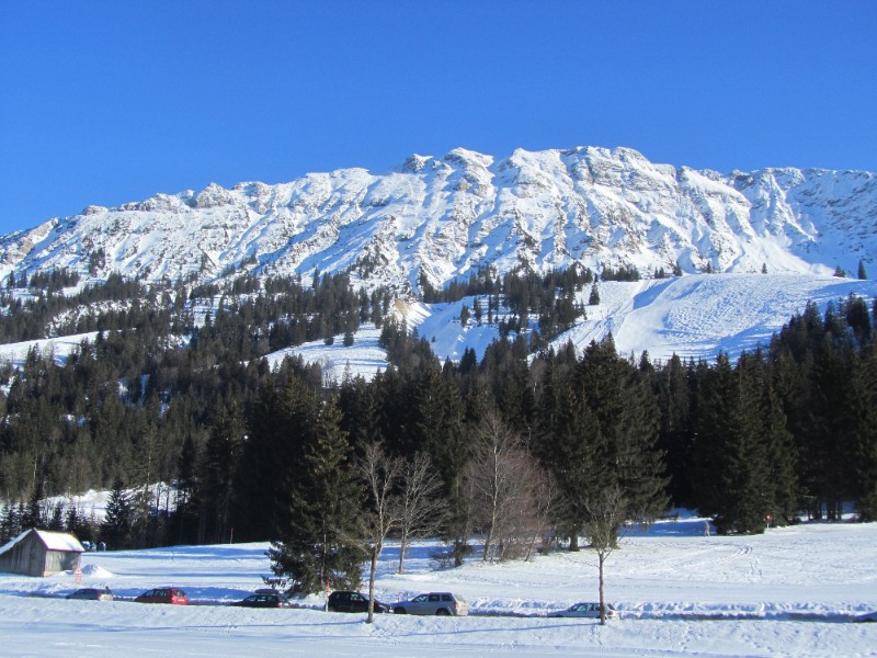 Enkele pistes, een stukje bos en de bergen in de verte in het besneeuwde Beieren