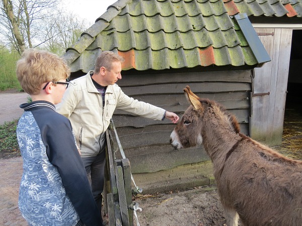 Even de ezel aaien