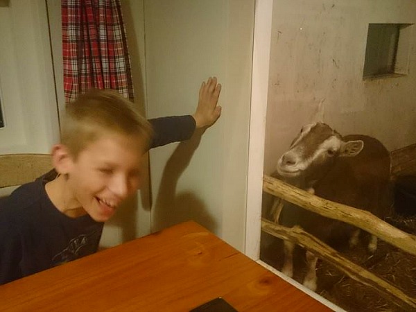 Dikke pret met de geit