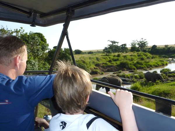 Olifanten spotten vanuit de jeep