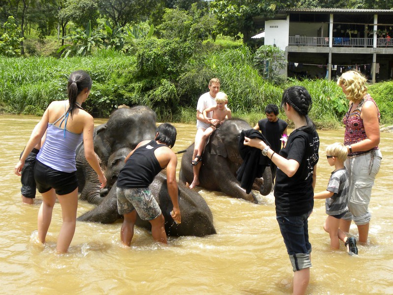 Olifanten wassen in de rivier