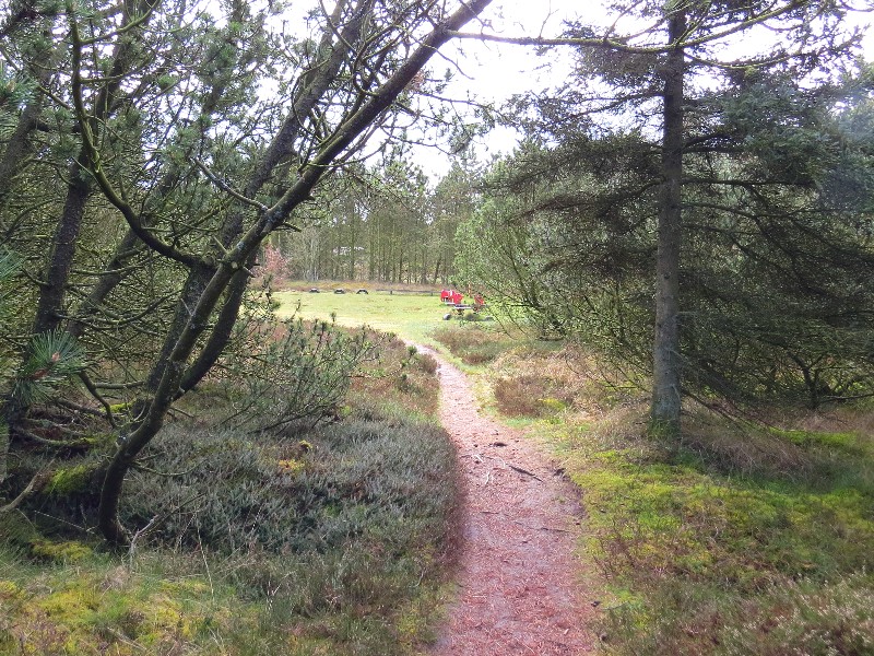 Mooie omgeving rond Landal Seawest