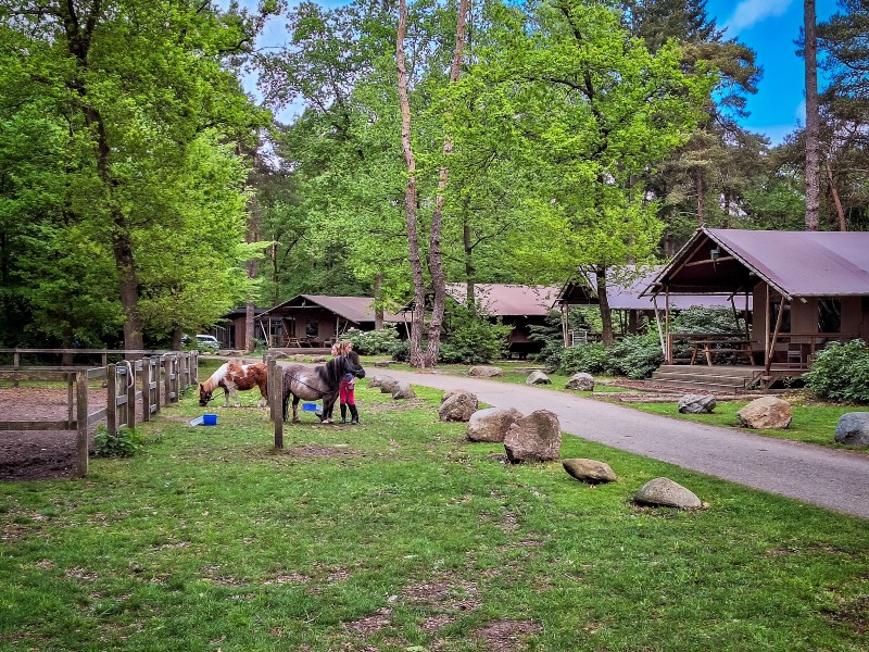 De outdoor lodge, waar de pony bij je accomodatie verblijft.