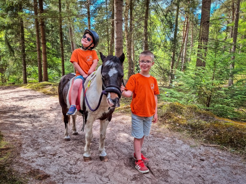 We volgen een van de ponyroutes die over en langs de camping lopen, we komen op mooie plekjes in het bos