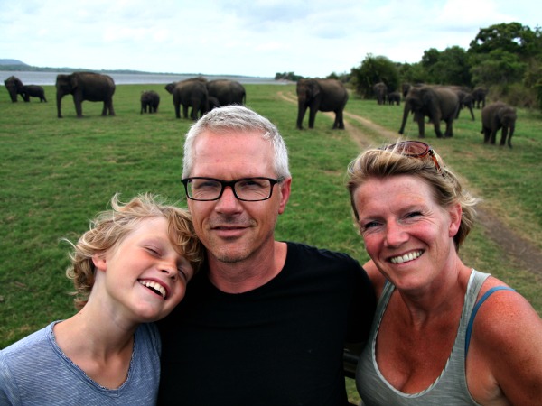 Op safari kom je zeker wilde olifanten tegen