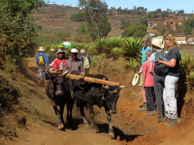 Opzij voor de zeboe's