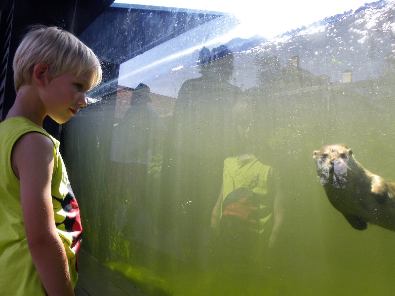 Een otter komt Tycho begroeten