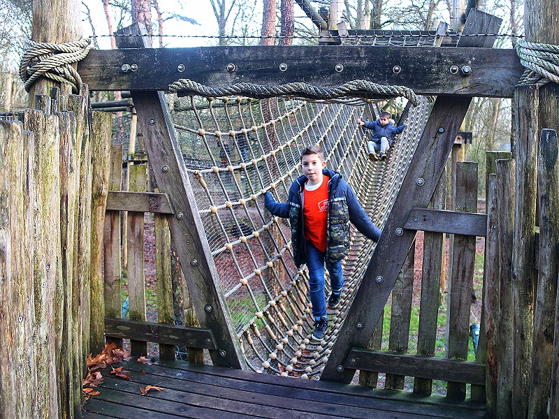 Op expeditie in het Berenbos