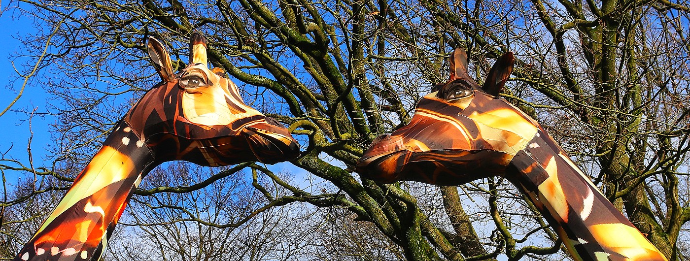 Ouwehands Dierenpark - Light Nights Festival