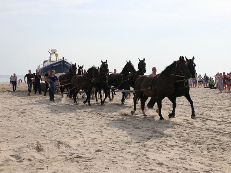 De paardenreddingsboot bij Hollum op Ameland