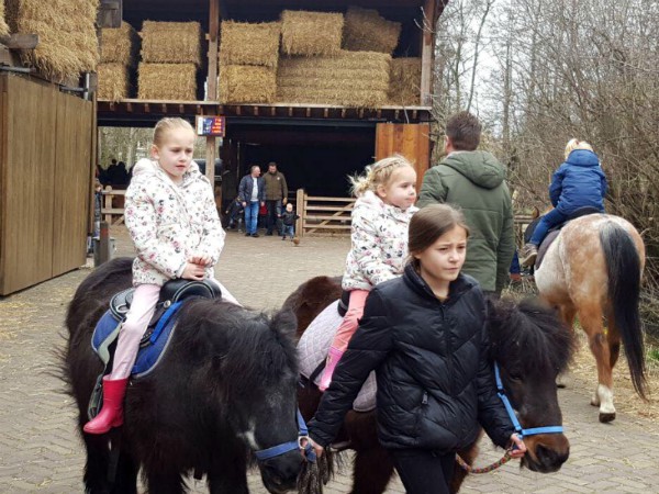 Paardrijden bij boerderij 't Geertje