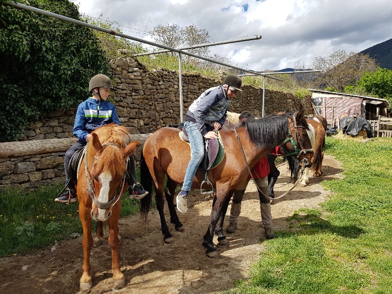 Opstijgen op het paard