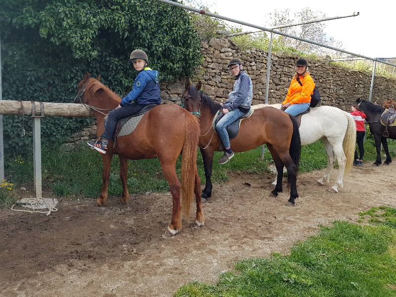 Wat spannend op de paarden