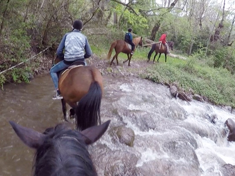 We steken een beekje over bij het paardrijden in de pyreneeën