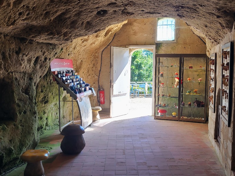 Kanoën langs het kasteel van Saumur