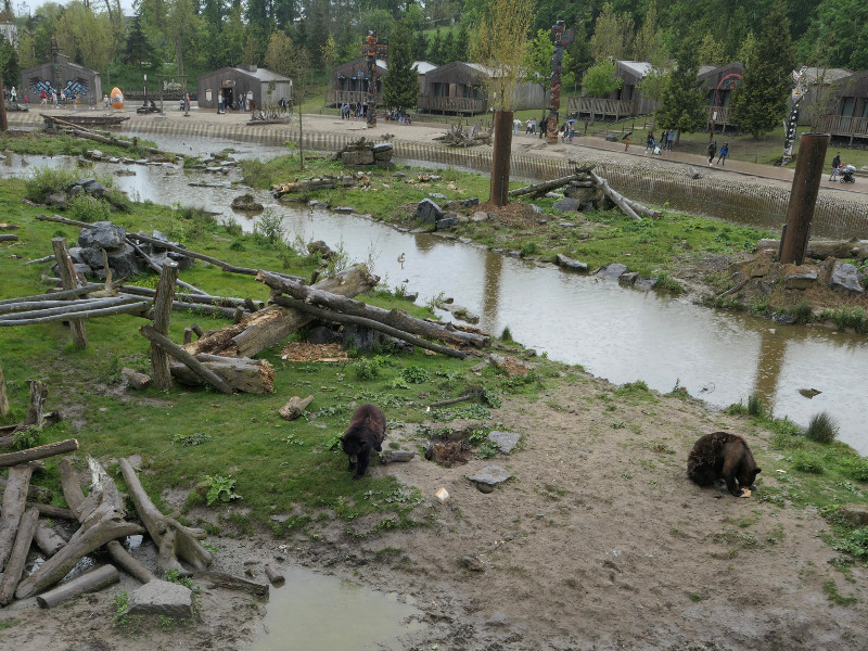 Vanuit de accommodatie heb je zicht op de beren