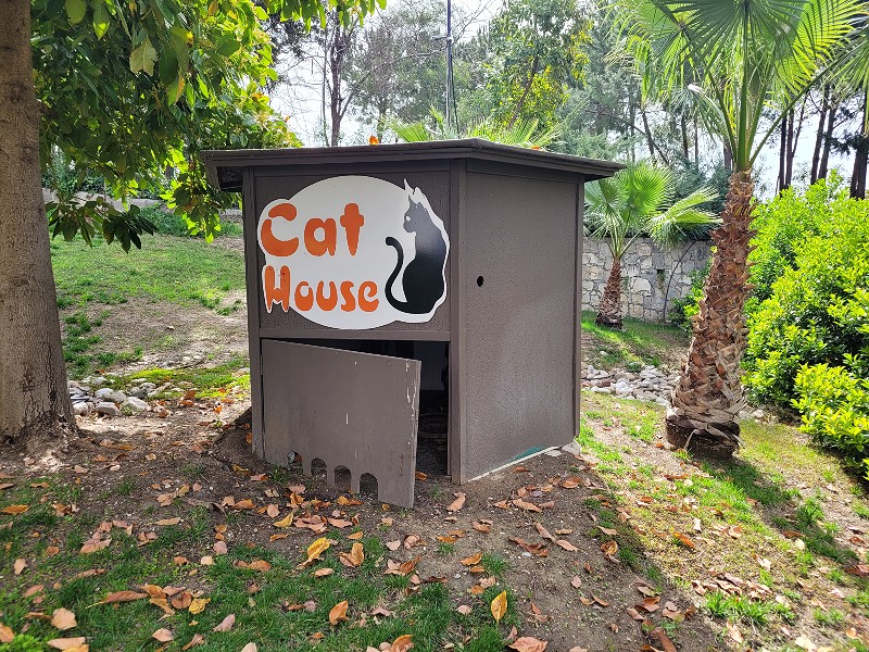 Het kattenhuis in de tuin van het hotel