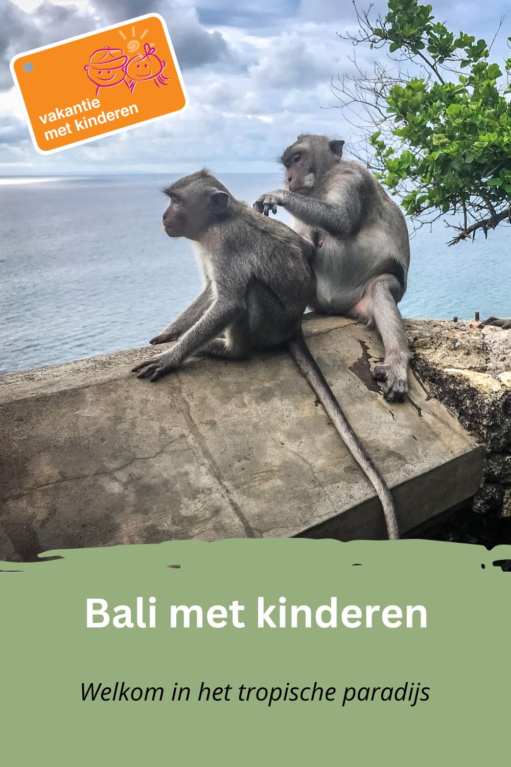 Bewaar deze pin op Pinterest