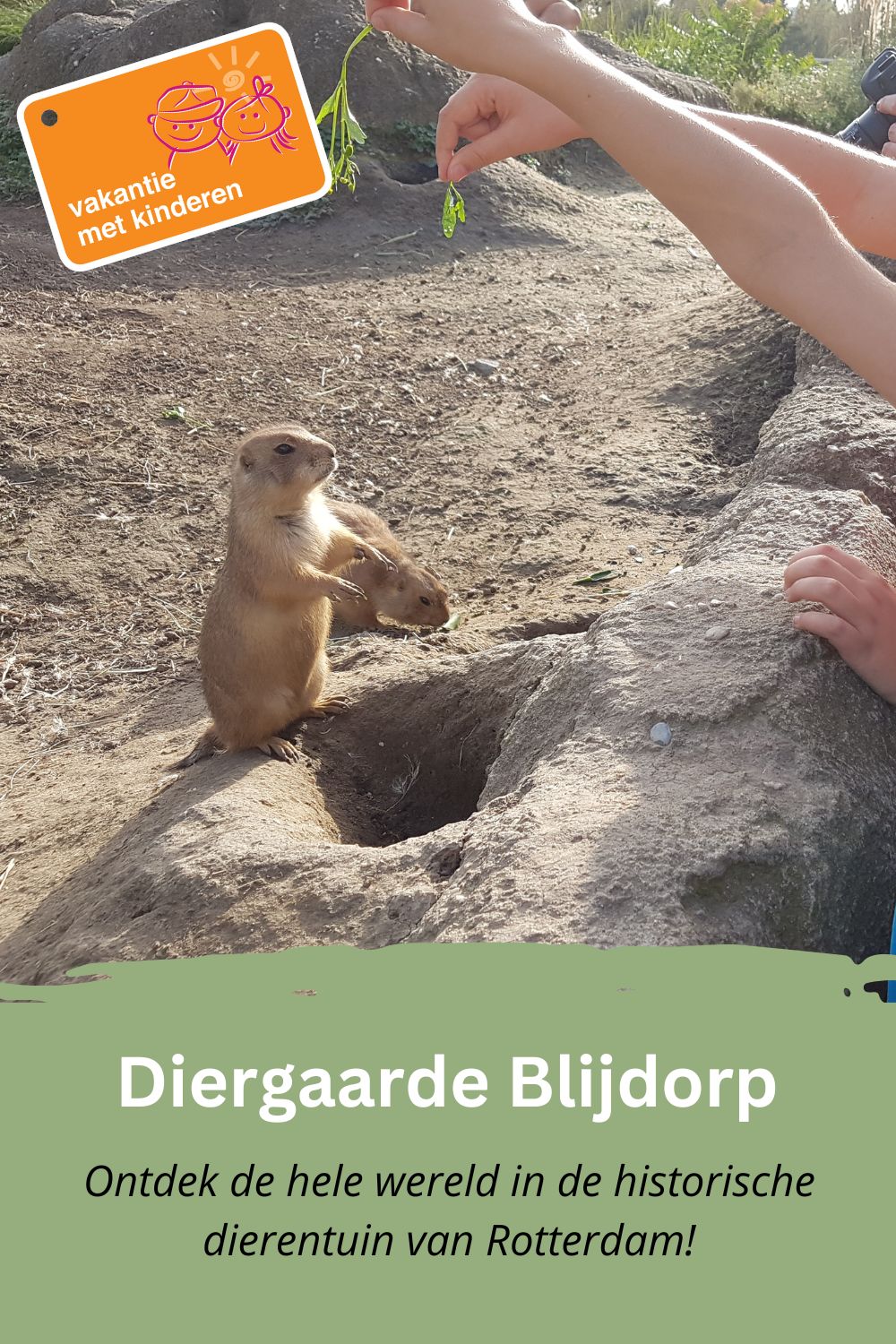 Om te bewaren op Pinterest