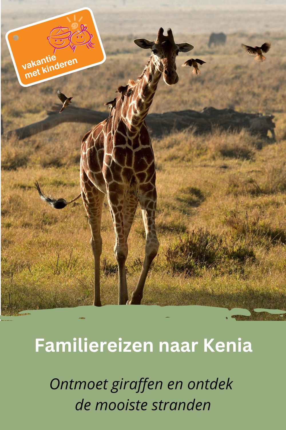 Bewaar deze pin op Pinterest