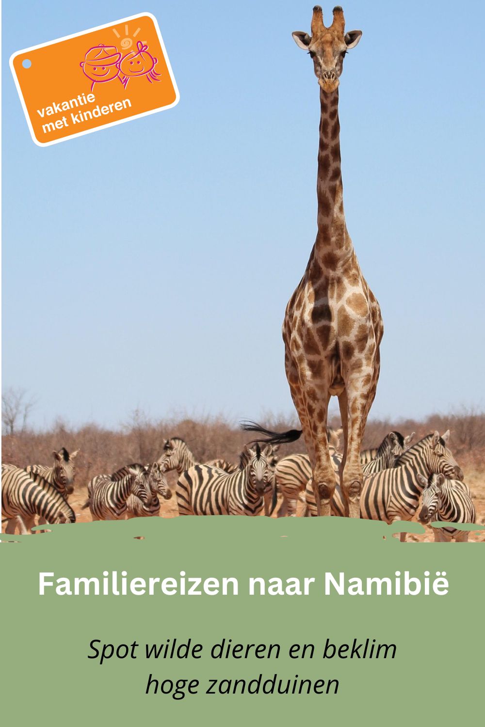 Bewaar deze pin op Pinterest