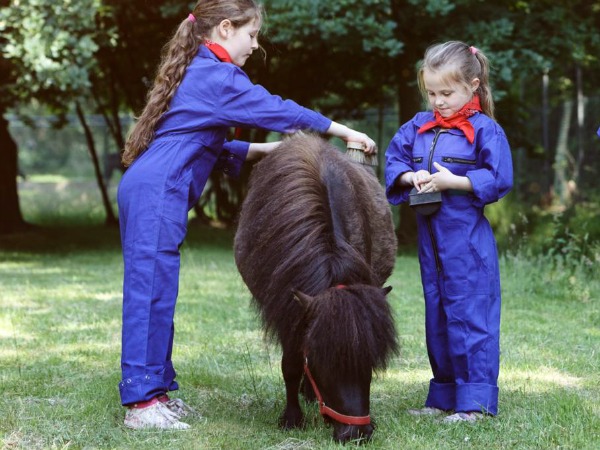 Het verzorgen van pony Zoë