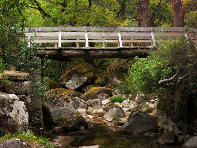 Een bruggetjes over een waterstroom in Peneda-Gerês in Noord Portugal